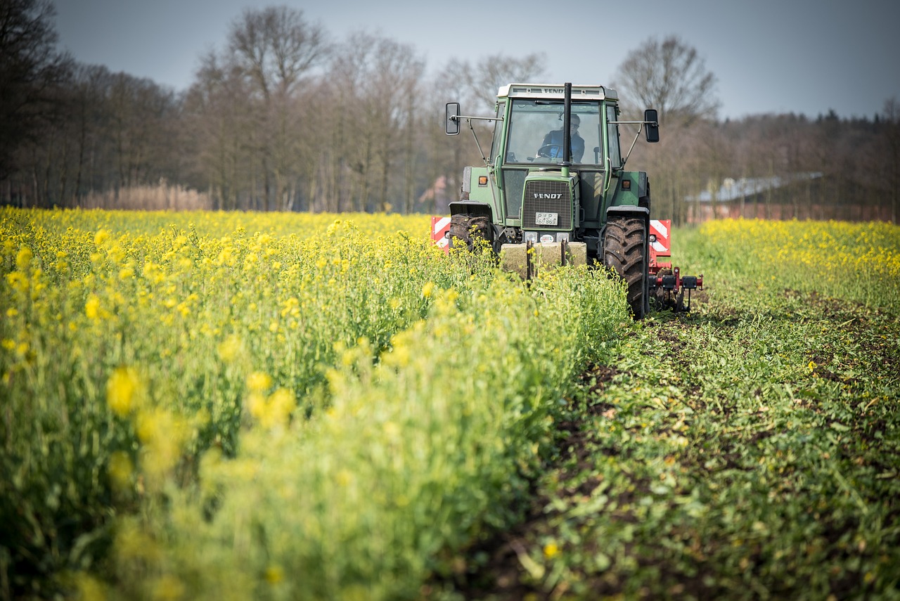 The Agricultural Revolution - Birth of Farming